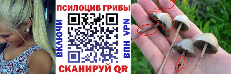 где найти наркотики  Калтан  Галлюциногенные грибы ЛСД 